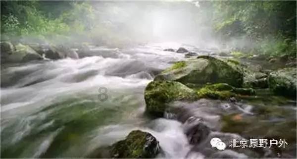 救援受困的小恐龙